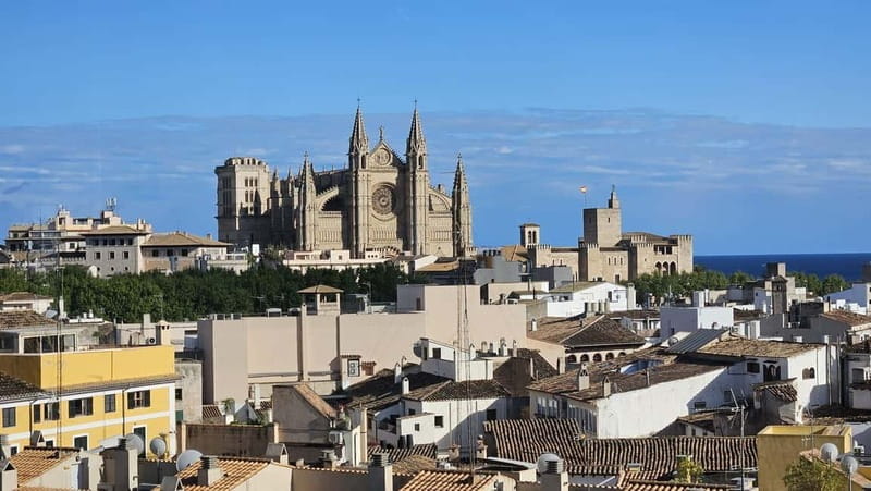 Palma: Old Town Guided Tour with Cathedral Skip-the-Line - Who This Tour Is Perfect For