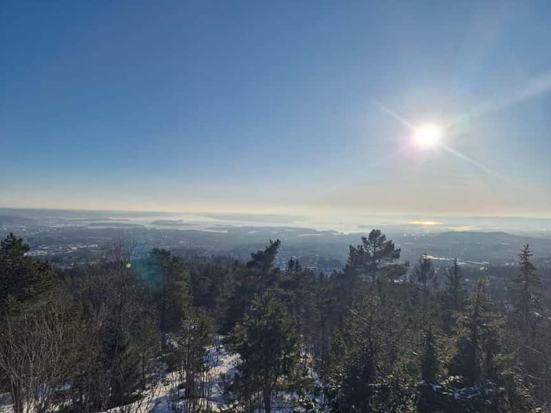 Panoramic Peaks  Oslos Best Fjord Views Hike - Entering the Forest: Starting the Adventure at Jernbanetorget