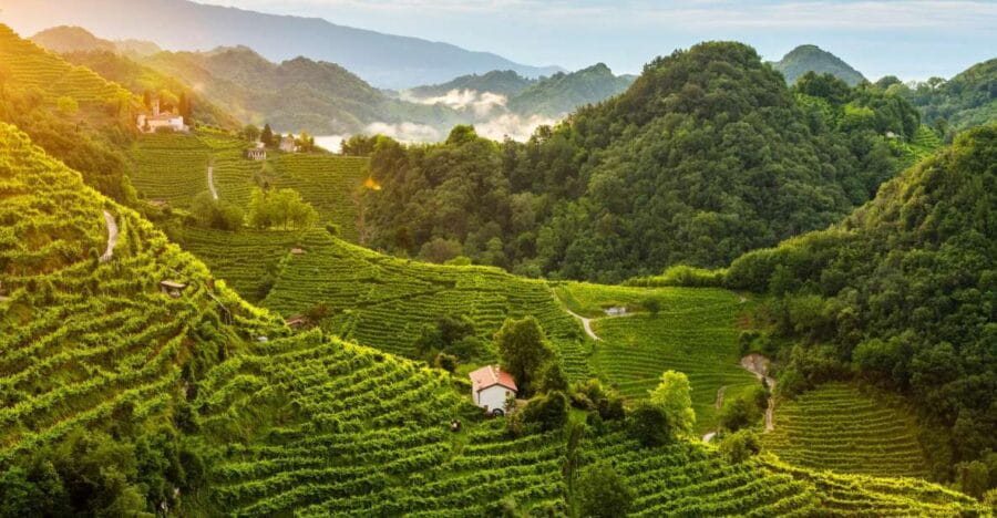 Panoramic Prosecco Tasting Tour From Padua - Exploring the Scenic Hills of Conegliano Valdobbiadene