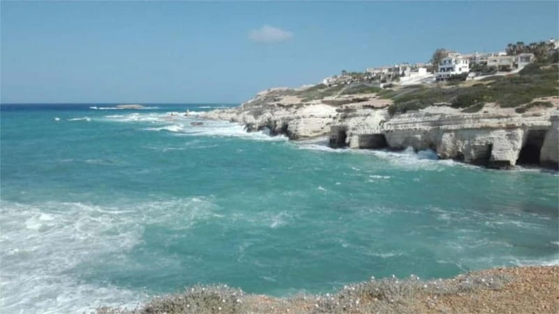 Paphos: Akamas, Waterfalls & Blue Lagoon of Aphrodite Tour - Turtle Bay and the Conservation Heritage
