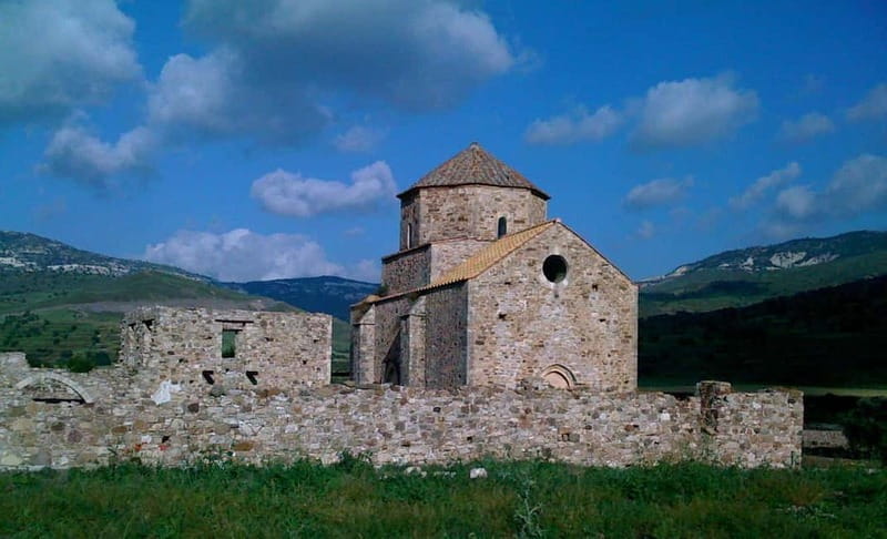 Paphos/Limassol: Donkey Farm Day Trip with Lunch & Tastings - Visiting the Donkey Farm: A Genuine Encounter with Rural Cyprus