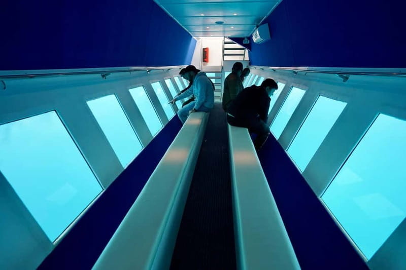 Paphos: Sunset Cruise, Turtle Watching, & Unlimited Drinks - The Vera K Shipwreck and Underwater Forest: Highlights of the Itinerary