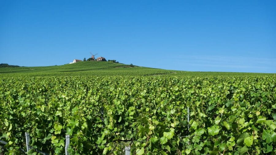 Paris: Private Chauffeur-Driven Champagne Region Day Trip - Épernay: The Heart of Champagne