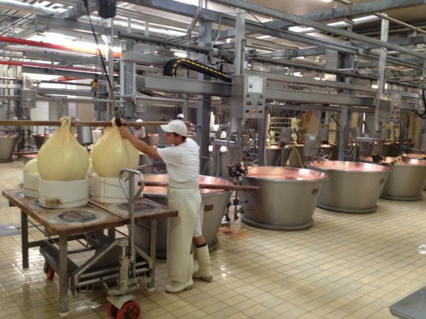 Parma: Parmigiano-Reggiano Cheese Tour - The tasting: a delicious conclusion