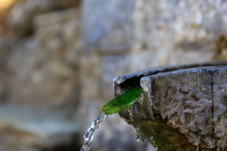 Parnitha (Parnis) / Skipiza & Mola loop - Hike near Athens - The Highlights and Unique Experiences