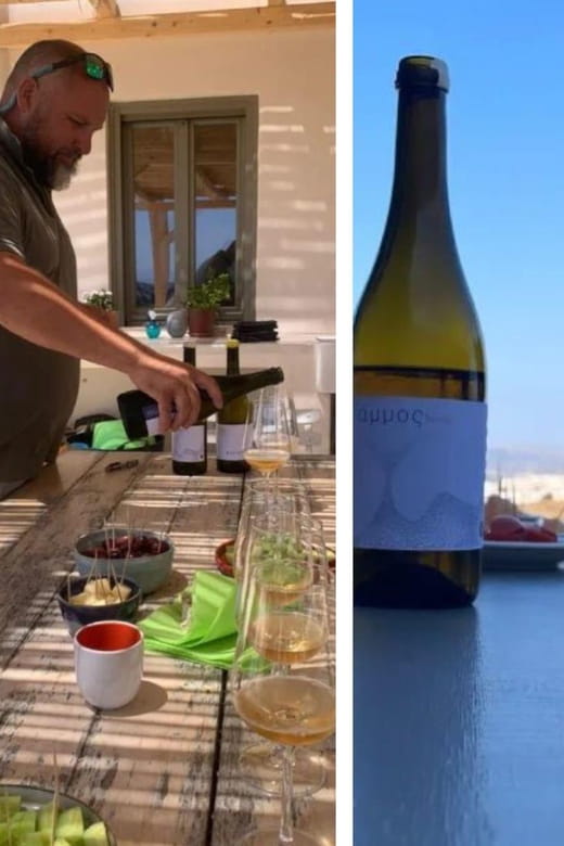 Paros: Wine tasting at Local Winery - Learning from Passionate Guides in a Relaxed Atmosphere