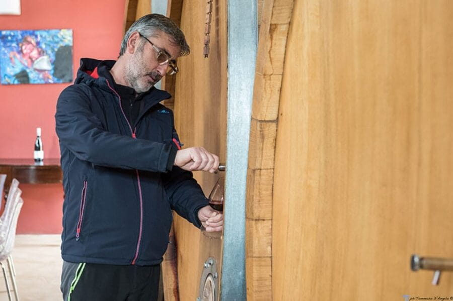 Partinico:Grape harvest in the lands of FrederikII of Swabia - Pressing Grapes: From Bunch to Must