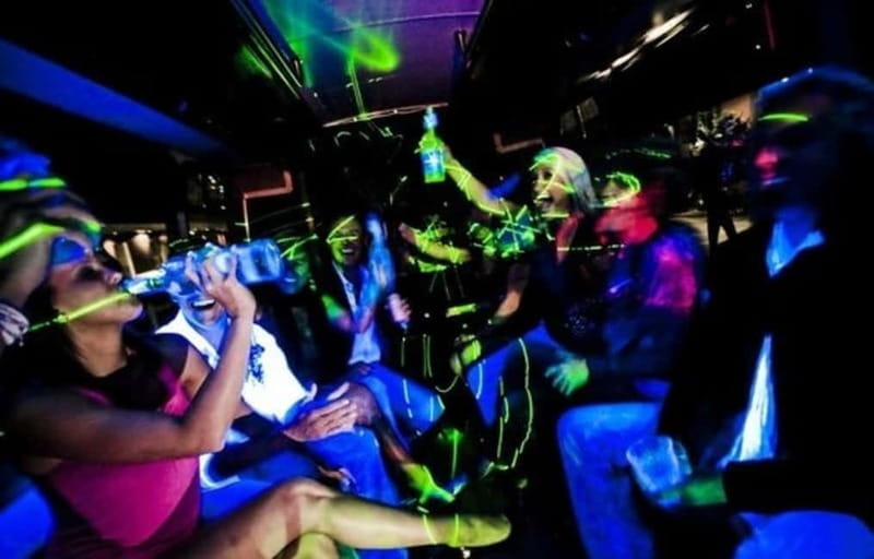 Party Bus & Dancer for 3 hours in Vilnius - Price and Logistics: A Good Deal for a Unique Night