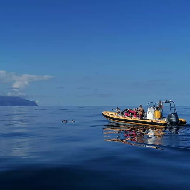 Passeios Turísticos: Trip to Corvo by Boat - Arrival at Corvo: Time to Explore