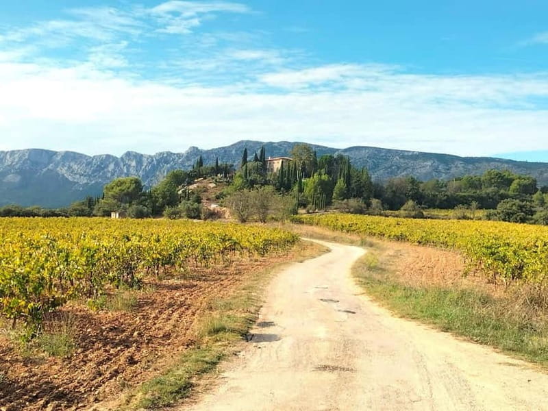 Peaceful Countryside Day : vineyards, food & villages - A Closer Look at the Itinerary and Experience