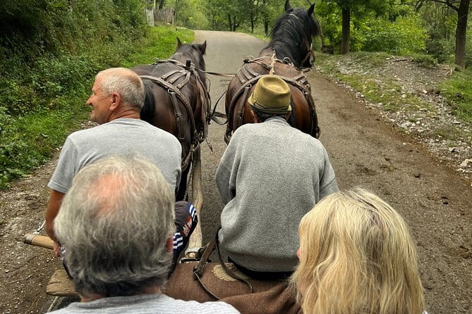 Peles castle and authentic Romanian village experience - day trip - Scenic Drive and Other Highlights