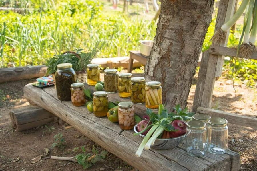 Pelion Private Nature Experience : Farm-to-Table Cooking - Arriving at the Farm: The Gateway to Authentic Greece