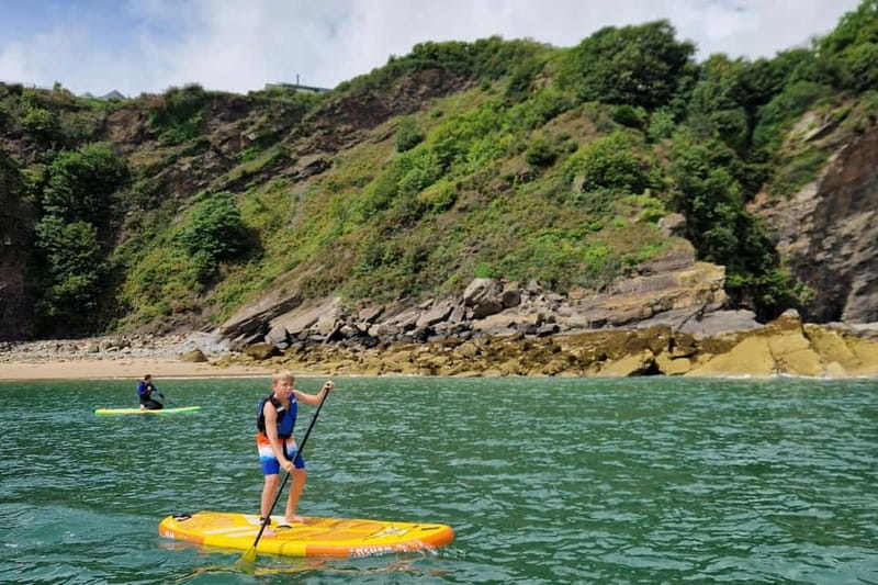Pembrokeshire: Paddle Boarding At Tenby North Beach - Who Would Love This Tour?