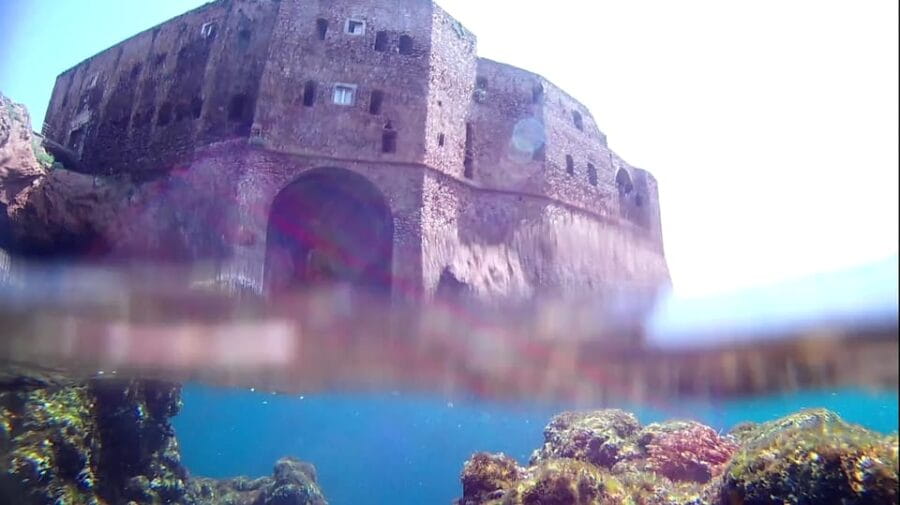 Peniche: Berlengas Island Catamaran Tour + Snorkeling - Who Will Love This Tour?