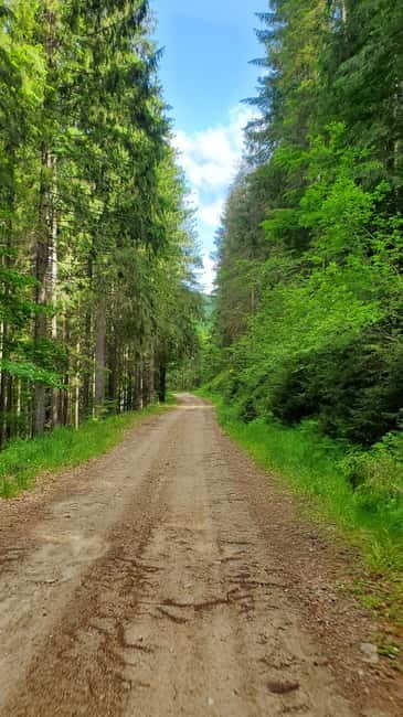 Pick-up from Cluj: e-Mountain Bike Tour Lake Dragan - Discovering Lake Dragan: An Authentic Romanian Escape