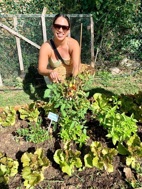 Pick Vegetables at the farm & Cook pasta - Who Will Love This Experience?