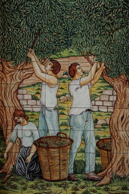 Picnic at the Estates - What’s Included and What’s Not