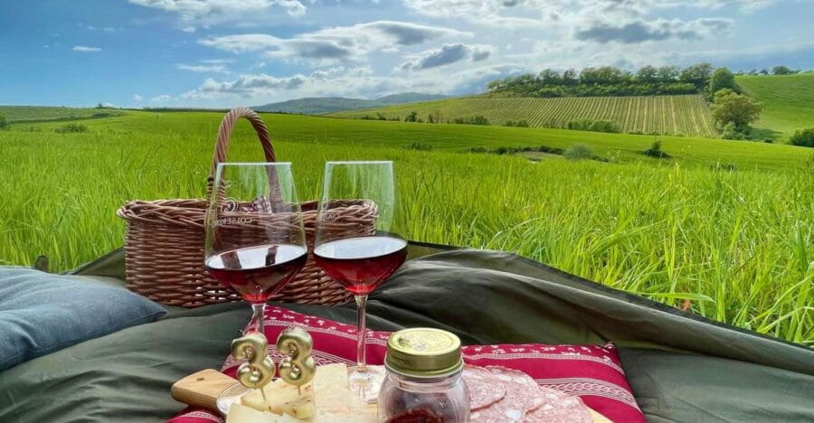 Picnic in the organic vineyards of Brunello - Setting the Scene: A Private Picnic in Montalcino’s Vineyards
