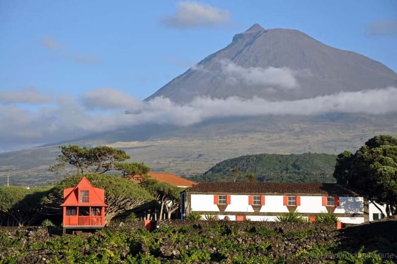 Pico Island: Tours on Pico Island - The Practicalities: What to Expect and Considerations