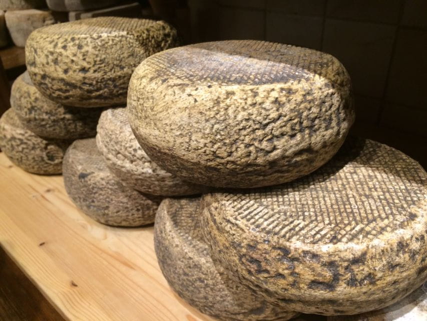 Pienza: Dairy Farm Tour with Pecorino Cheese Tasting - The Guided Tour: Who Guides You and What You’ll Learn