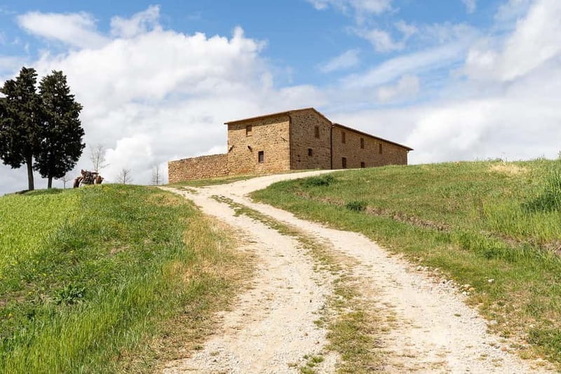 Pienza: guided tasting of Orcia DOC wine and organic EVO oil - What to Expect During the Tasting