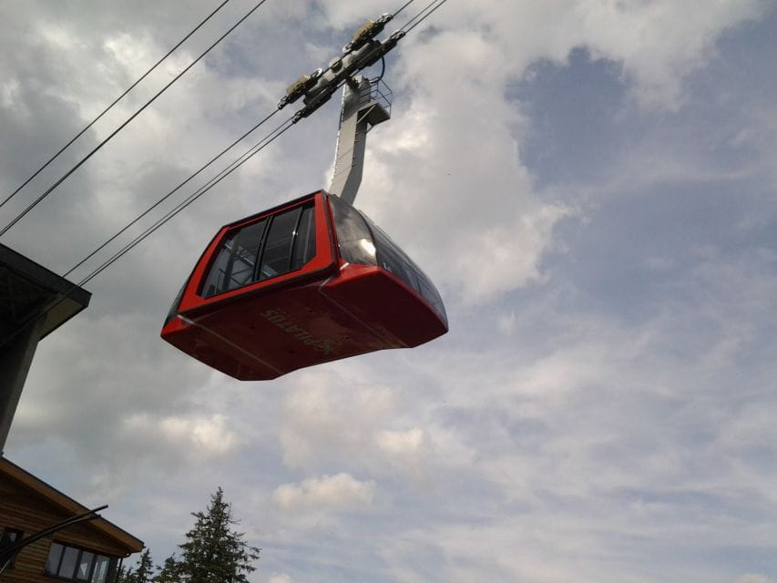 Pilatus: Exclusive Private Golden Round Trip from Basel - Reaching Mount Pilatus: Stepping onto the steepest cogwheel railway