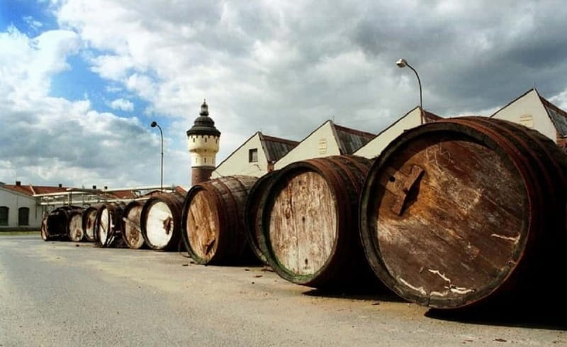 Pilsner Brewery & Nizbor Glass Factory Combination Tour - Who is this tour best suited for?