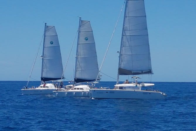 Playa Ses Platgetes Catamaran Private Trip - The Sum Up: Who’s This Tour Perfect For?