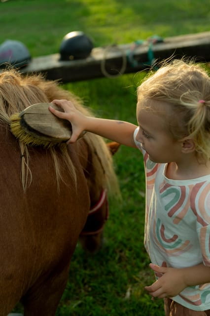 Playful Activities with Animals - Who Is This For?