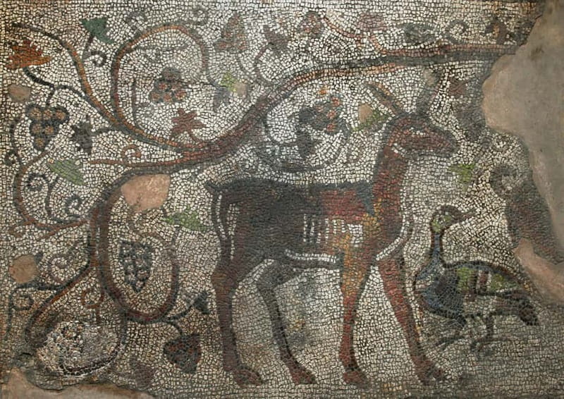 Plovdiv: Valley of the Thracian Kings Guided Day Trip - Journey Through Time: A Close Look at the Itinerary