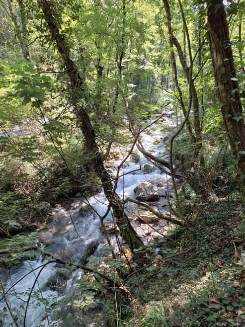 Pollino National Park: Trekking in the Argentino Nature Reserve - Practical Details and Tips