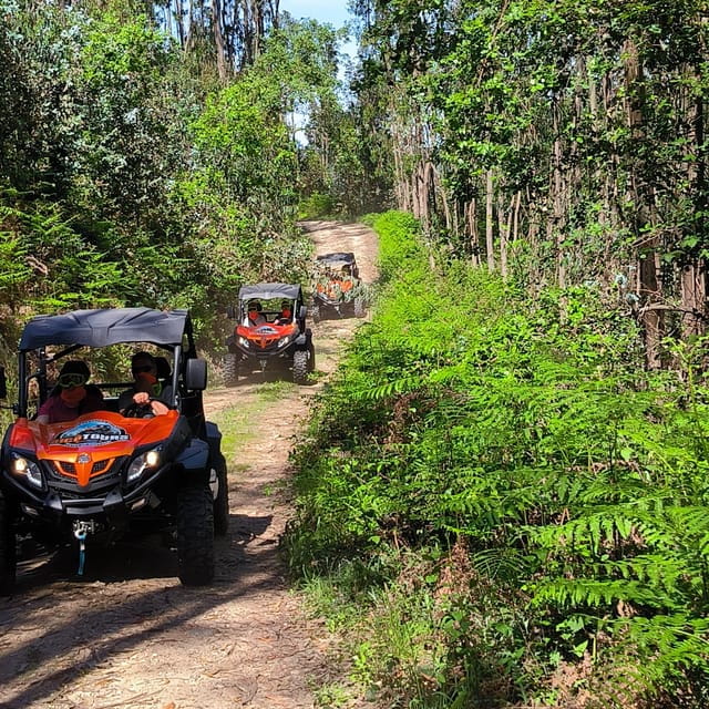 Pombal- Sicó: 60 minutes OFF-ROAD Buggy Ride - What the Experience Feels Like for You