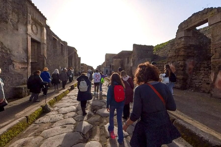 Pompeii: 2 Hours Skip the Line Visit with a Licensed Guide - The Details That Matter: Logistics, Cost, and Group Dynamics
