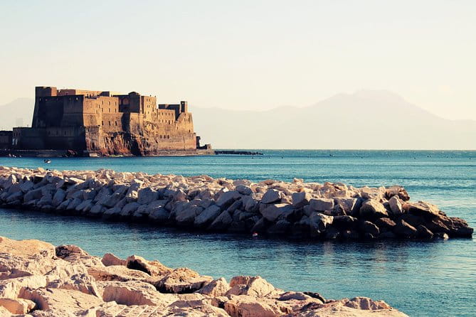 Pompeii and Naples with guide all day and tickets included - Price and Logistics