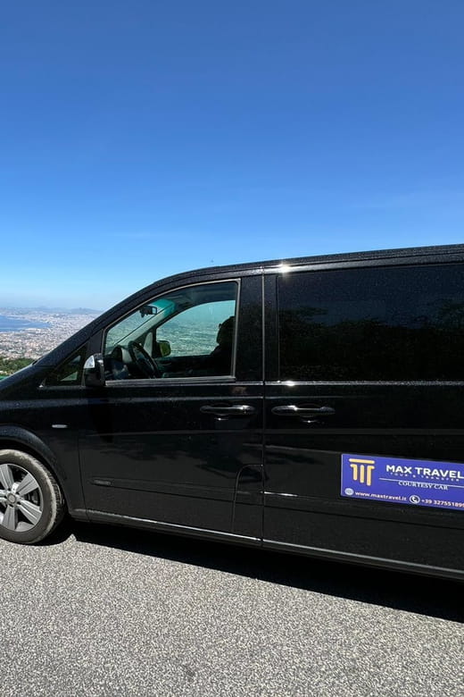 Pompeii from Napoli: transfer + entry ticket + guided tour - The Sum Up