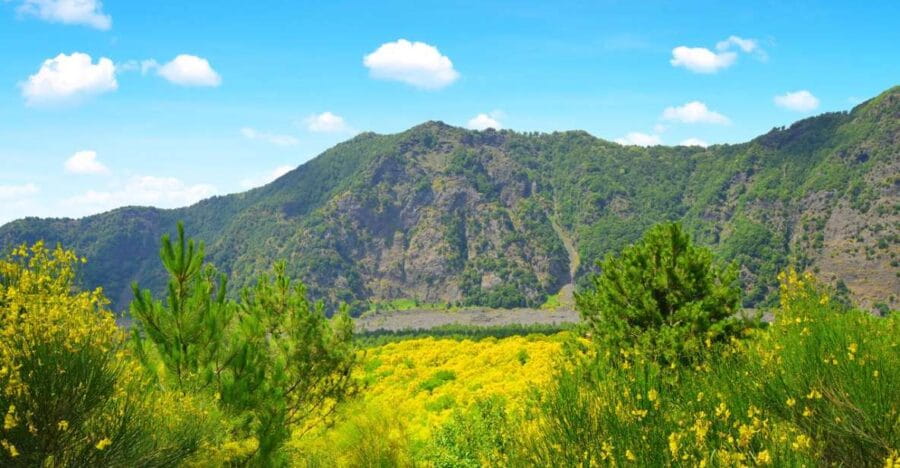 Pompeii, Herculaneum and Vesuvius Tour - Final Thoughts