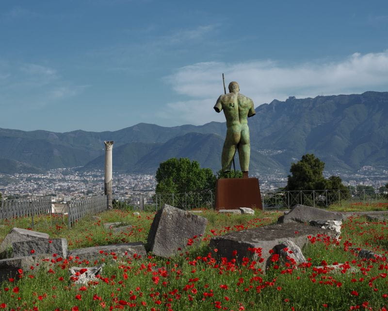 Pompeii: Skip-the-Line Entry Ticket with App Audio Guide - Who This Tour Is Best For