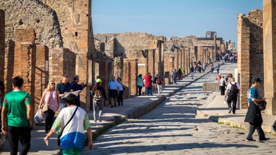Pompeii, Sorrento and Amalfi Coast private tour - Who Will Love This Tour?