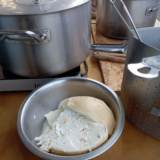 Pontecagnano Faiano: Pasta Factory Tour & Cooking Class - Key Points / Takeaways