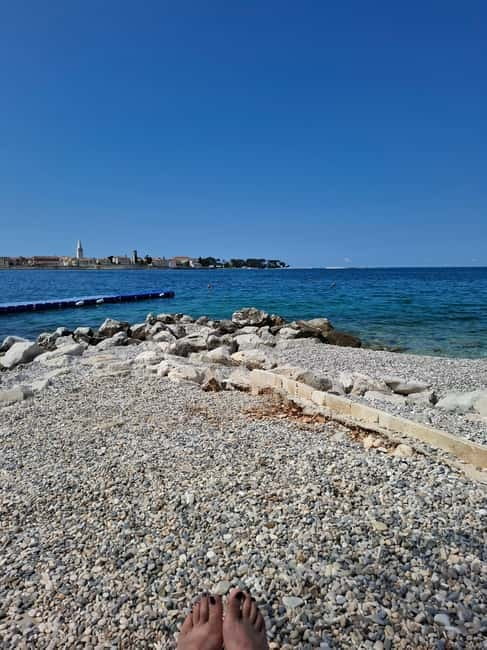 Pore: Sunset Cruise with Dinner and cocktail - Watching Dolphins in Their Natural Environment