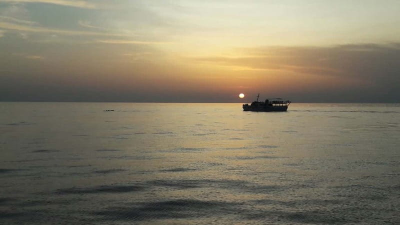 Pore: Sunset Dolphin Safari Cruise with Drinks - FAQ about the Sunset Dolphin Safari in Pore
