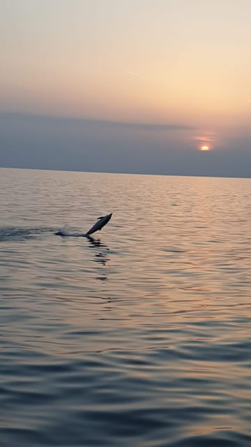 Pore: Sunset Dolphin Safari with Dinner and Drinks - The Views: Coastline, Dolphins, and Pore by Night
