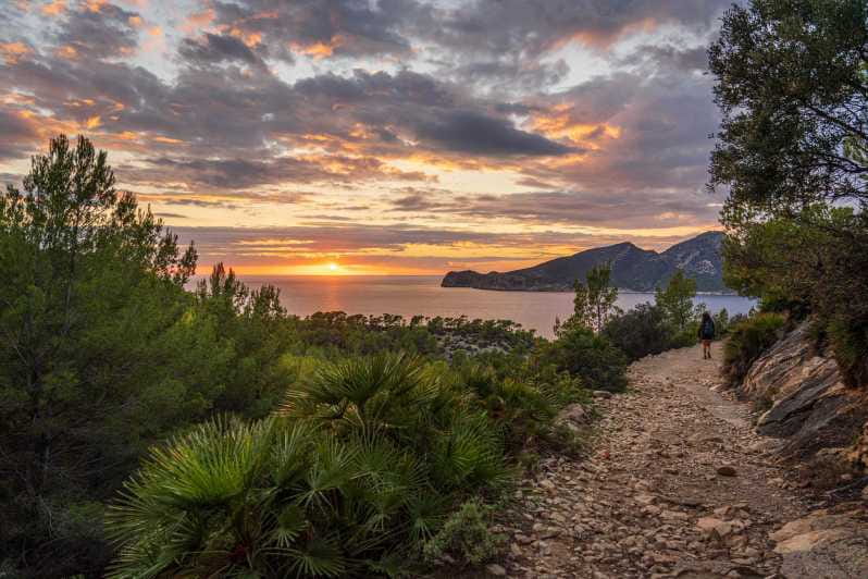 Port Andratx: Hiking Tour into the sunset to Sant Elm - An In-Depth Look at the Experience