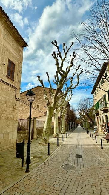 Port de Sóller, Sóller, and Sa Foradada Sunset Tour - Final Thoughts: Why This Tour Works