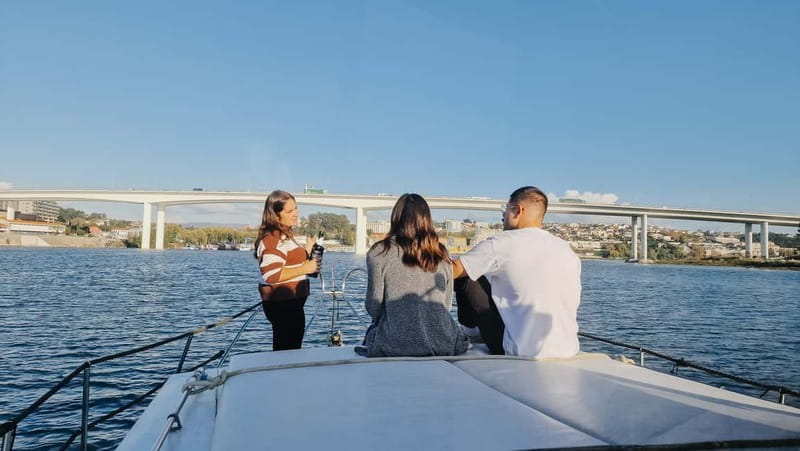 Porto: 6 Bridges Port Wine River Cruise with 4 Tastings - Who Should Consider This Tour