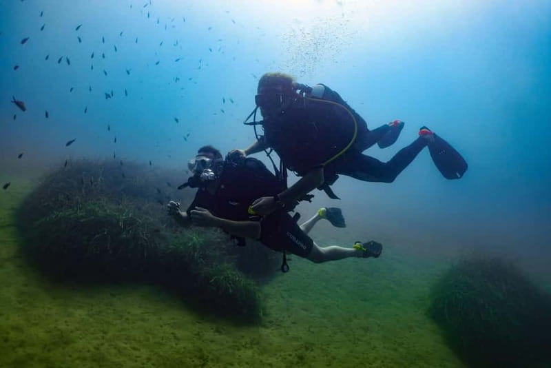 Porto Azzurro: Discovery Scuba Diving Experience - Practicalities: Logistics and Group Experience