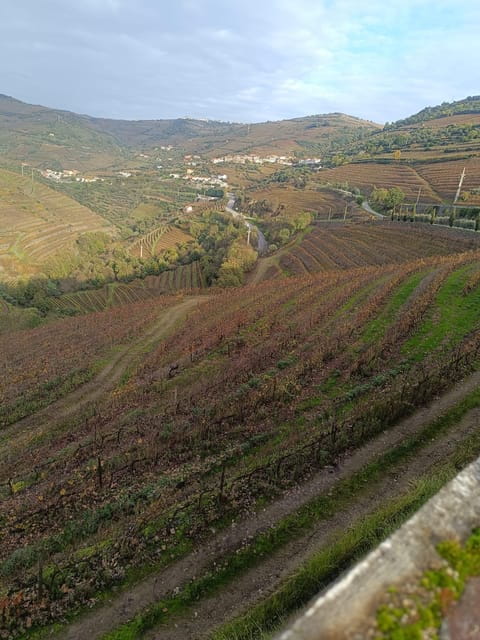 Porto: Douro valley 2 farms with wine tasting and lunch - Pinhão: A Serene Stop with Iconic Views