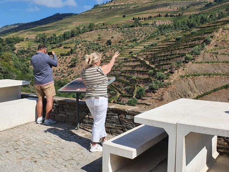 Porto: Douro Valley Private Tour with Winery Visit & Lunch - Exploring the 300-Year-Old Winery