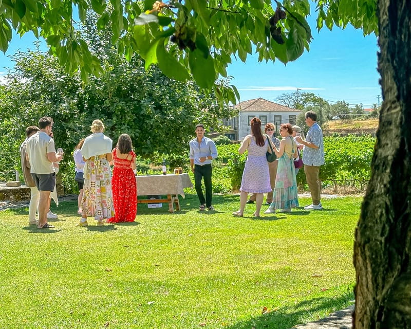 Porto: Douro Valley Tour with 2 Wineries, Lunch and Cruise - Scenic Drive and Lookout Points