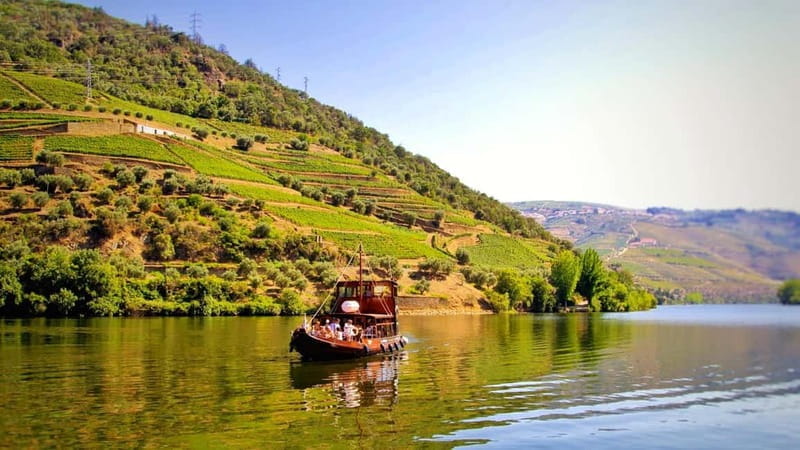 Porto: Douro Valley Tour with 2 Wineries, Lunch, & Boat Trip - Who Will Love This Tour?